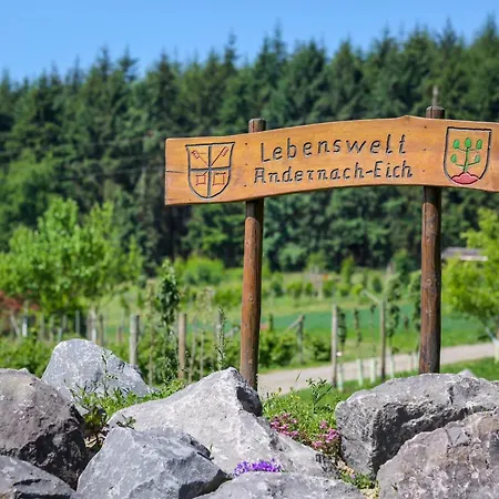 Unterm Nastberg Apartment Andernach